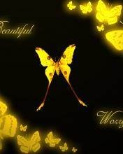 pic for Golden Butterfly